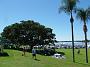 taree-dragonboat-regatta 038